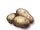 Potato