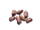 Peanut Seed