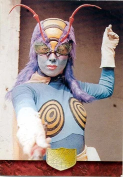 蜂女 (テレビシリーズ) | 仮面ライダー Wiki | Fandom