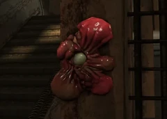 The Thorian acid mine