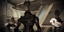WA Salarians.png