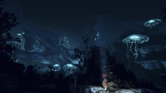 Leviathans sought refuge in the dark corners of the galaxy; any who found them ended up as ocean derelicts