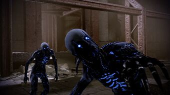 Shepard disturbs the dead