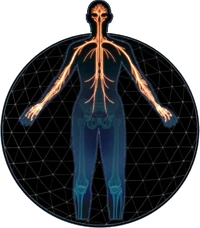 MEA Engineer Profile