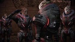 Vzvod-tarkvina-viktusa 01