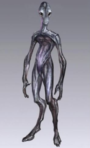 Salarian
