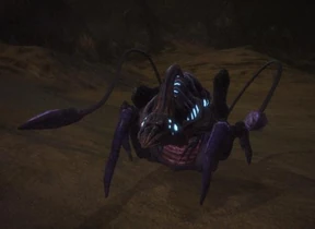 Племенной воин