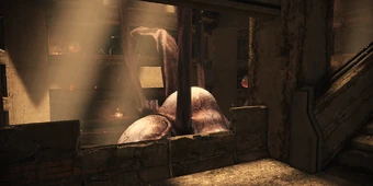 Thorian Lair Level 5