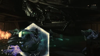 Hoppers rarely stand still for the group picture