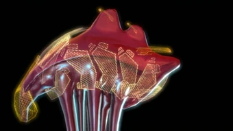 Custom tech armor fit for hanar