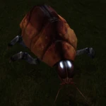 Creatures Space Beetle