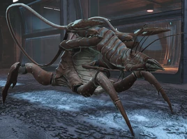 Rachni soldier enemy box