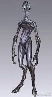 Salarian Anatomy