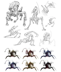 Ранний концепт-арт рахни