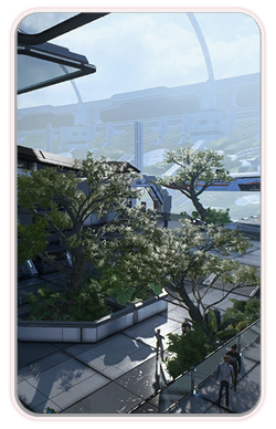 Life on the Frontier
