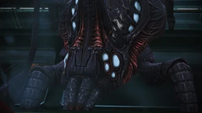 "We are... the mother."