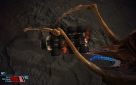 Thresher-maw-mako