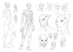 Prothean; different sketches