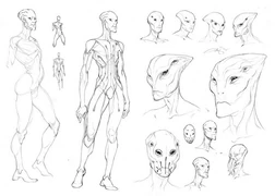 Ранние наброски протеан