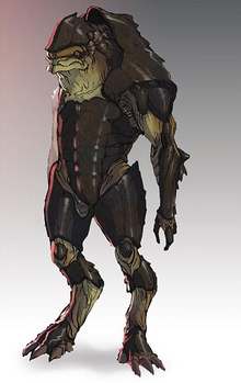 krogan anatomy