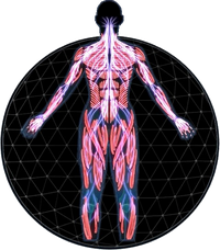 MEA Vanguard Profile