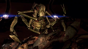 Keeping busy, as always