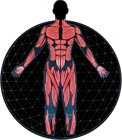 MEA_Soldier_Profile.png