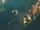 Reformation - kamping kett 2.png