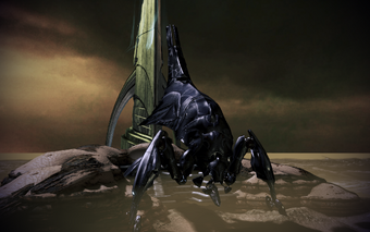 Reaper and the Shroud