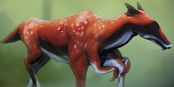 An unused image of the Shifty Looking Cow found within the game files of Mass Effect