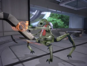 A keeper at the Embassies