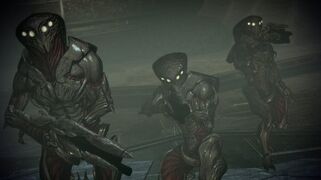 25610290.jpg (29 КБ)