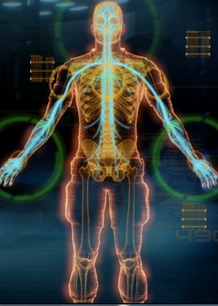 Fizjologia inżyniera