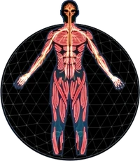 MEA Infilitrator Profile