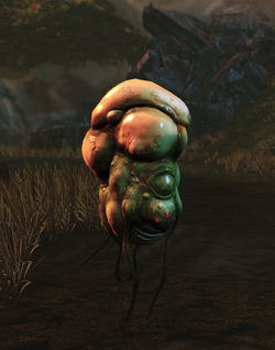 A gas bag on Eden Prime