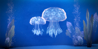 Belan Jellyfish: These delicate jellyfish were discovered in the waters of a hanar colony.