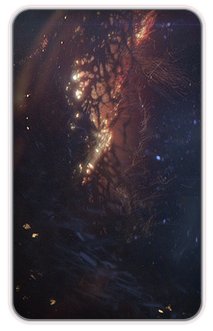 The Scourge