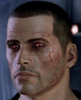Shepard renegade