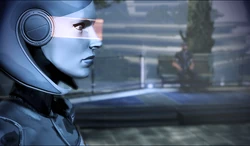 EDI und Joker im Präsidiumsunterhaus