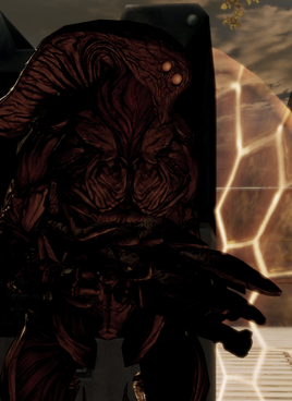 Collector Guardian