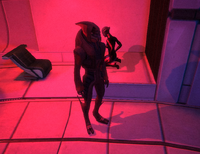 The Turian Guard at Chora's Den