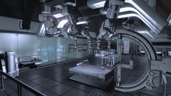 Hey, you. You're finally awake.