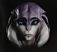 Männlicher Angara.jpg (446 KB) Ein männlicher Angara