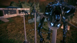 Marny koniec kolonistów