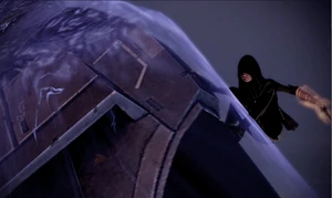 ...sondern auch eine exzellente taktische Kämpferin.