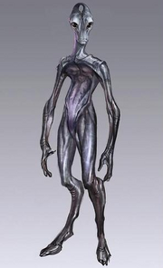 Salarian body profile