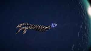 Nol - Voeld - Architect Husk Voeld