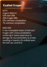 E.K. Scan