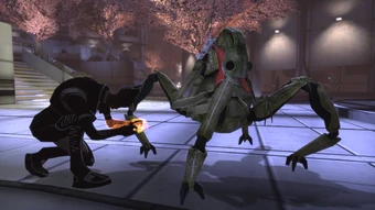 Un tentativo (illegale) di uno scienziato di apprendere qualcosa sui custodi