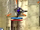 Turian scelto